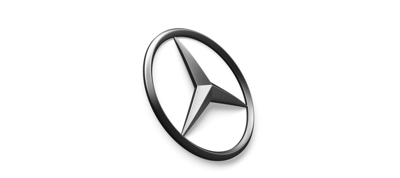 Mercedes CLS Hundegitter
