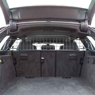 BMW Serie 5 Guard per cani (2020-2024)
