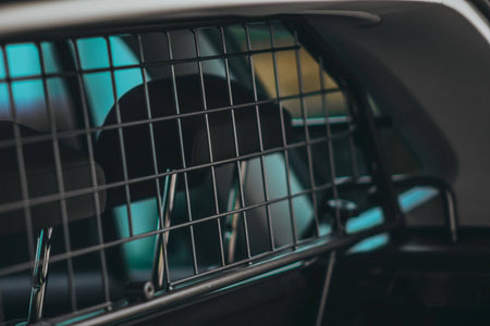 5 myths about dog guards debunked