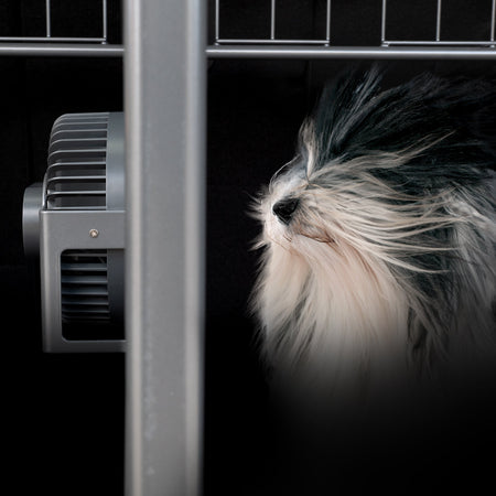 Mantieni fresco il tuo cane con il nostro nuovo ventilatore con protezione per cani!