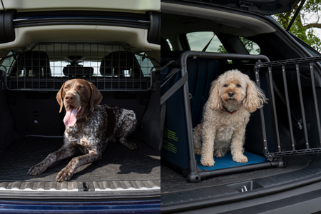 Griglia divisoria o trasportino per cani in auto: quale scegliere per te e il tuo cane?