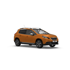 Peugeot 2008 SUV (2013-2016) Dog Guards