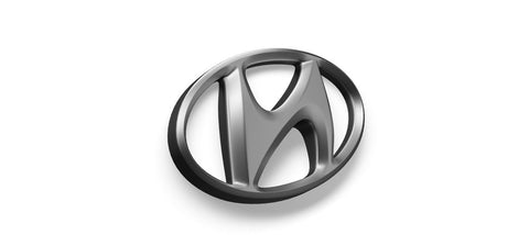 Hyundai Santa Fe Tappetini e Accessori
