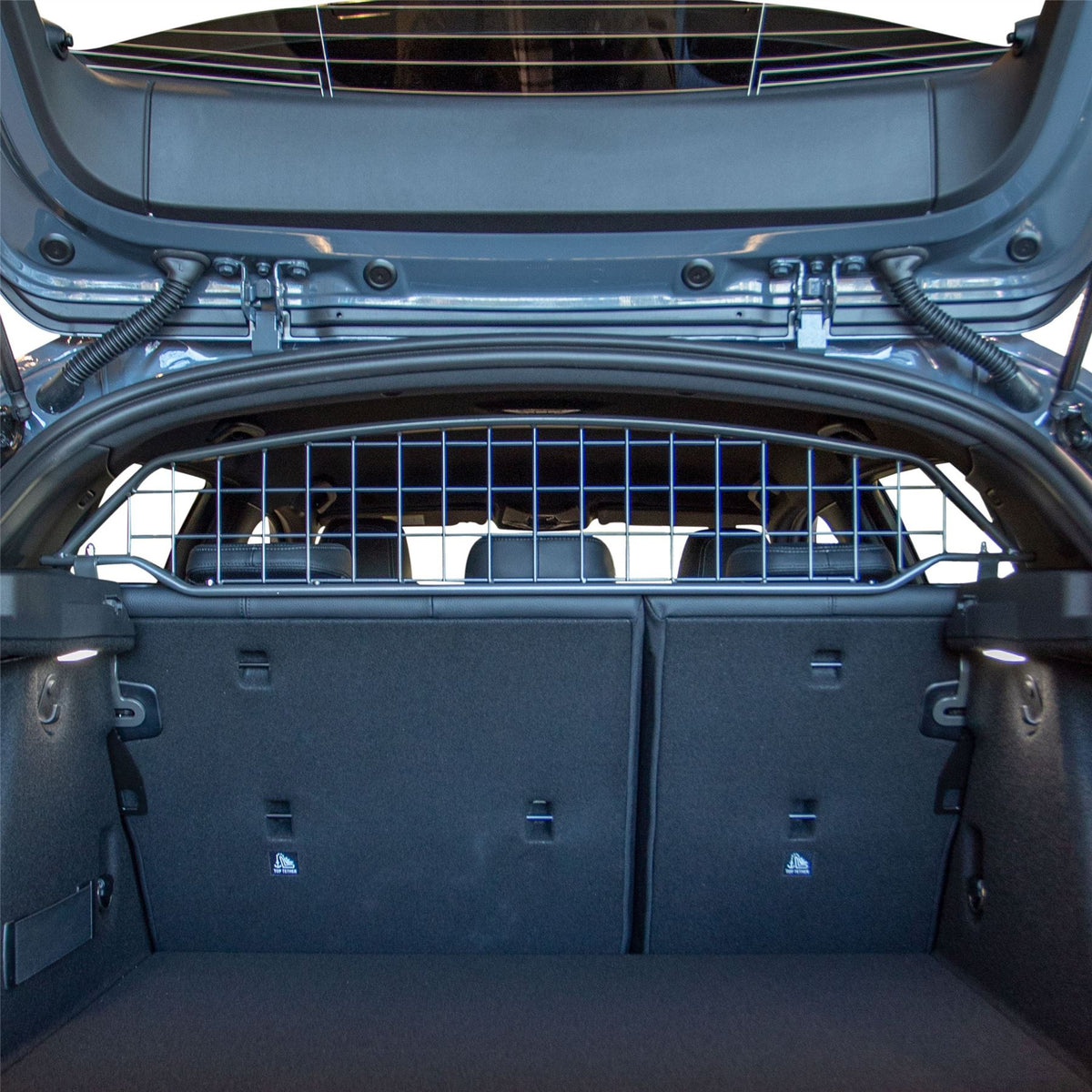 BMW 1 serie Dog Guard (2019-2024)