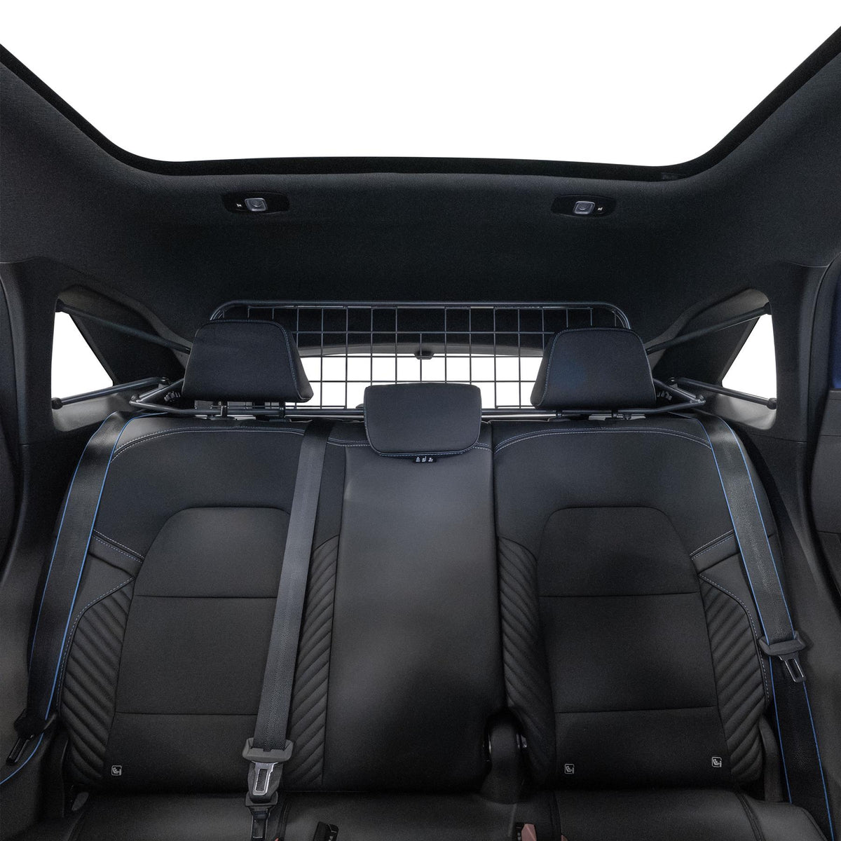 Renault SymBioz Dog Guard (2024-on)