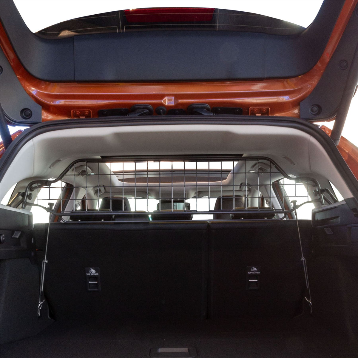 Ford Focus Estate Hondenrek (2018-heden)