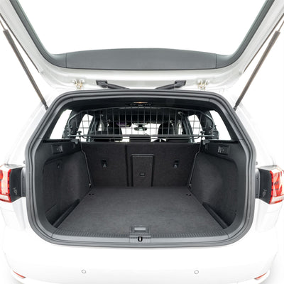 VW Golf Station Wagon Paracani (2016-2020)