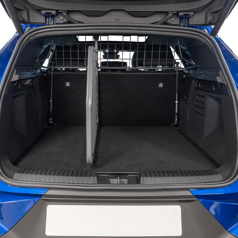 Renault Symbioz Scheidingsrek (vanaf 2024)