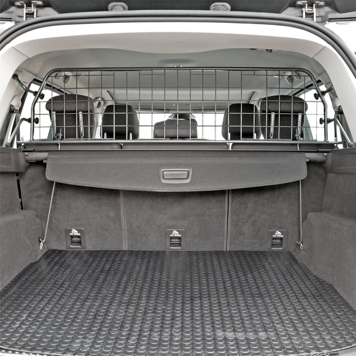Renault Espace Hundegitter (2015-2023)