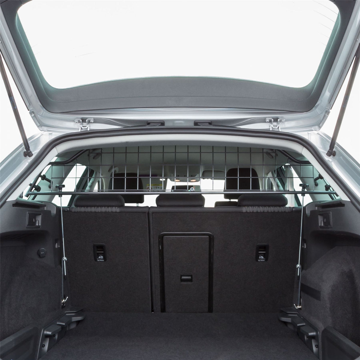 Asiento Reja para perros de perros de Leon (2012-2017)