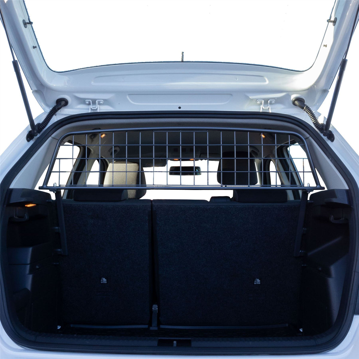 Skoda Fabia 5 portes de chien à hayon (2019-2021)