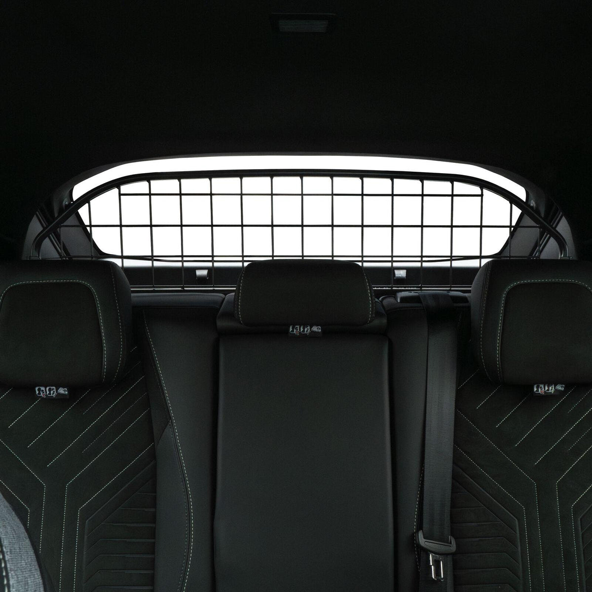 Peugeot 3008 Hundegitter (2024-)