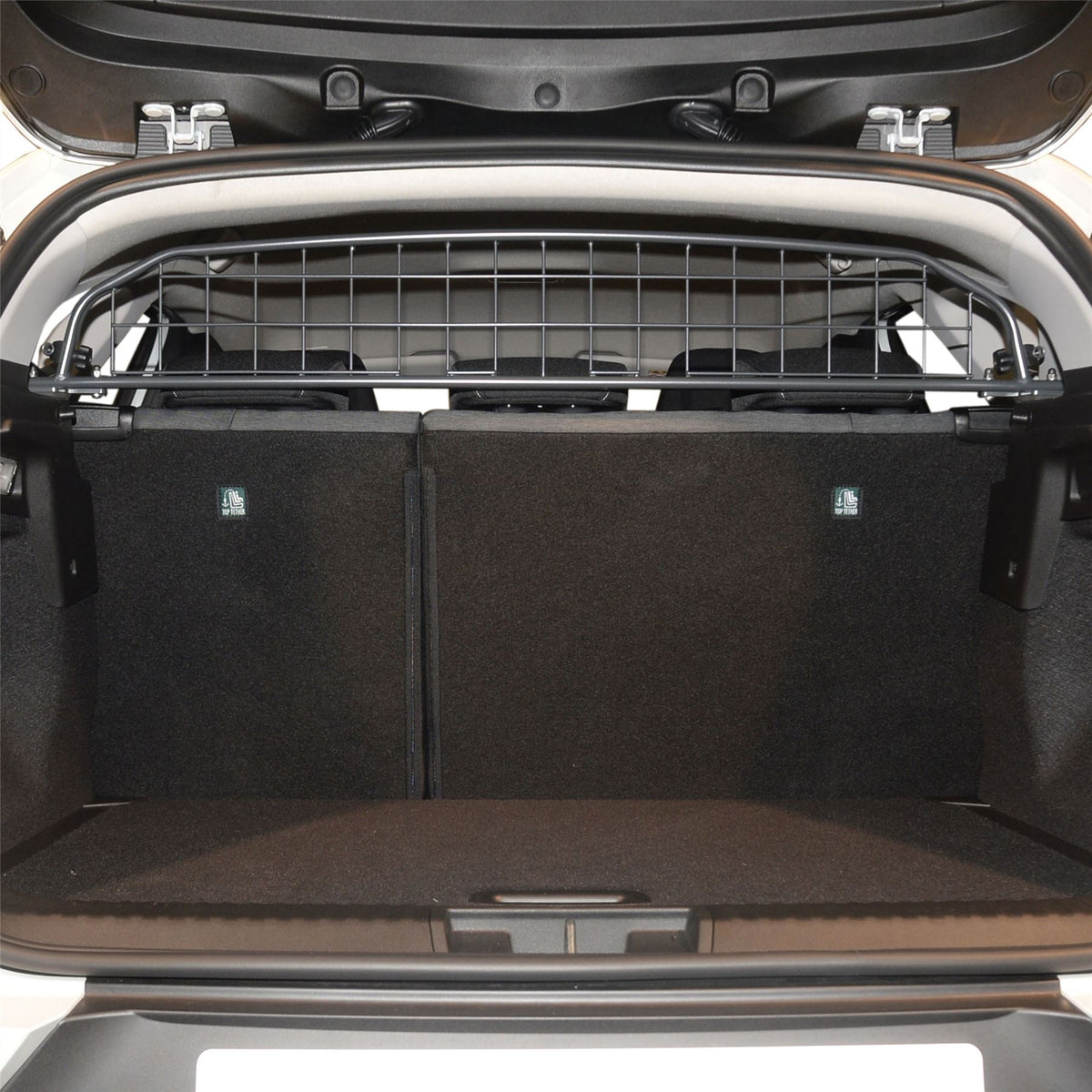 Renault Captur Dog Guard (2019-on)