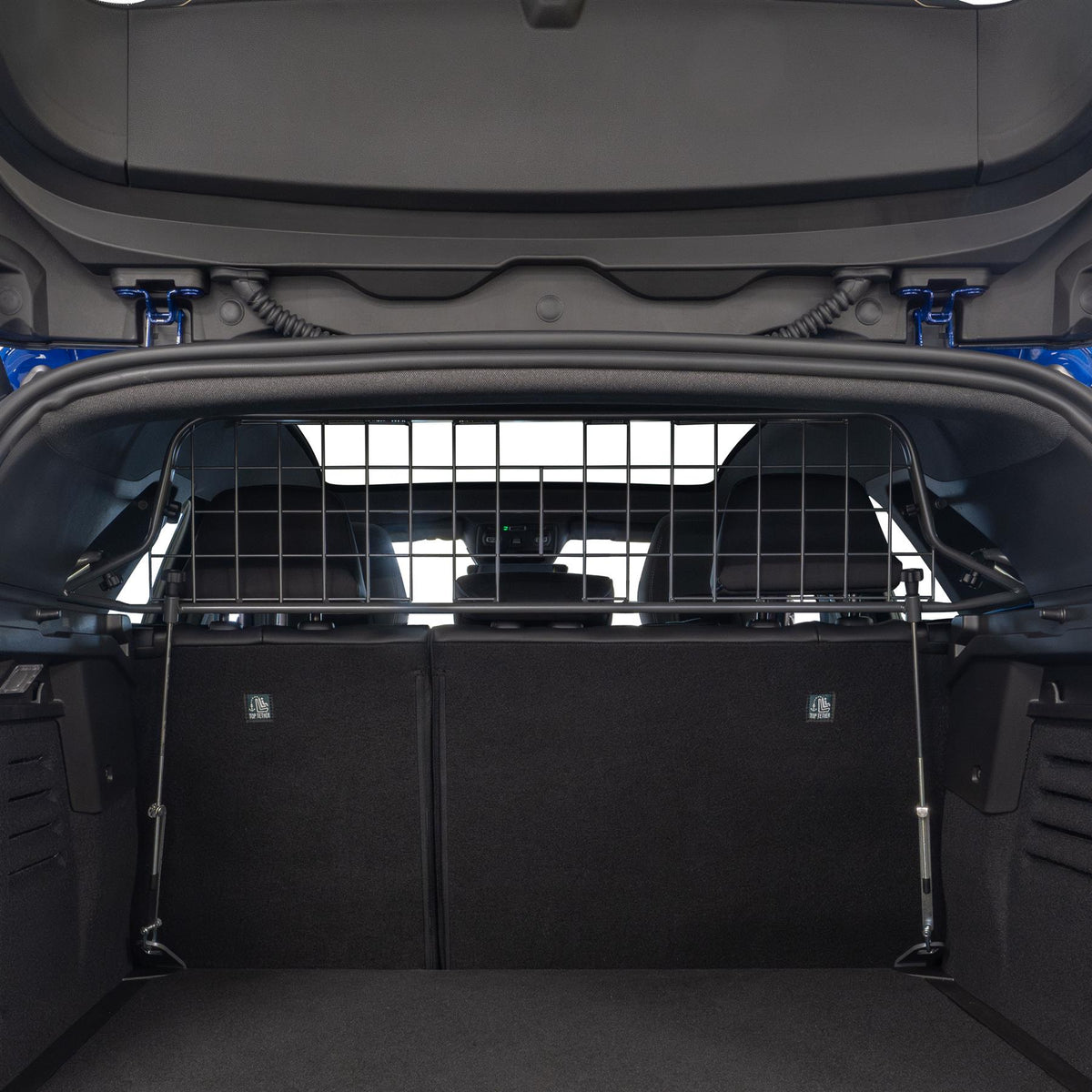 Renault SymBioz Dog Guard (2024-on)