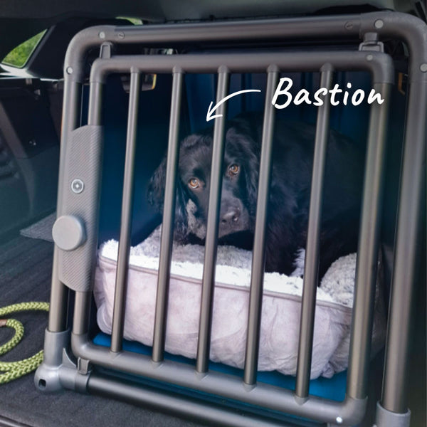 Bastion