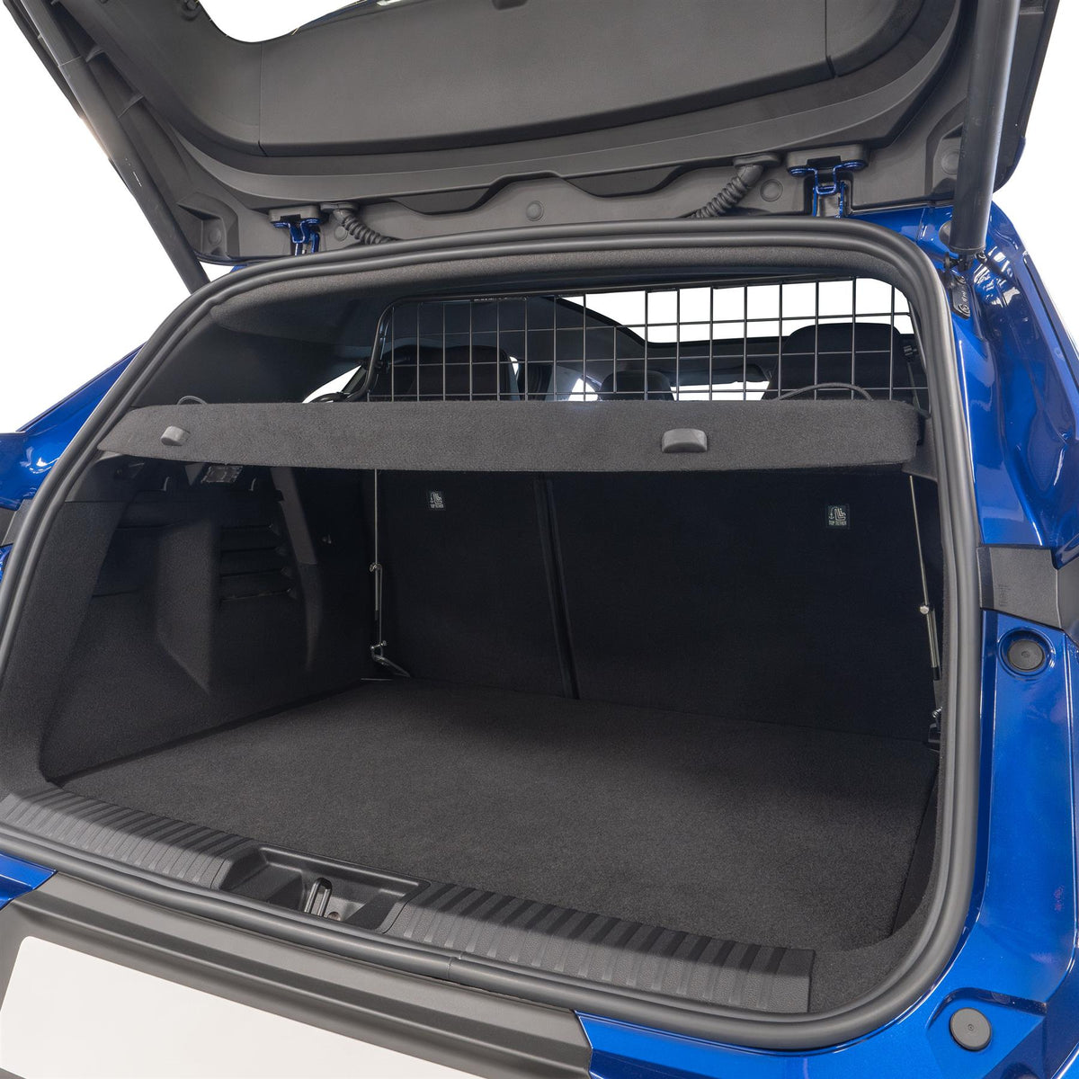 Renault SymBioz Dog Guard (2024-on)
