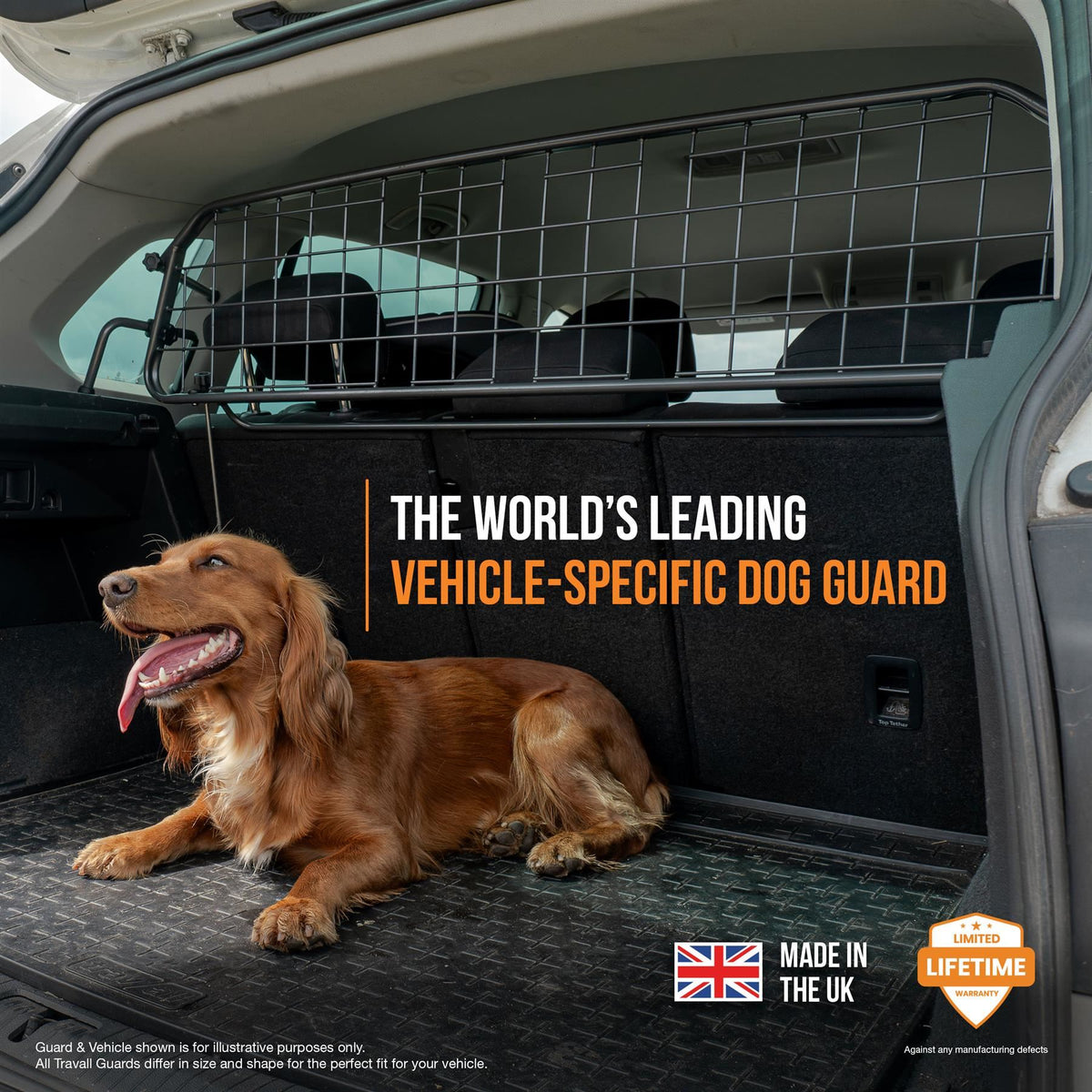 Audi Q2 Dog Guard and Divider Bundle (2020-)