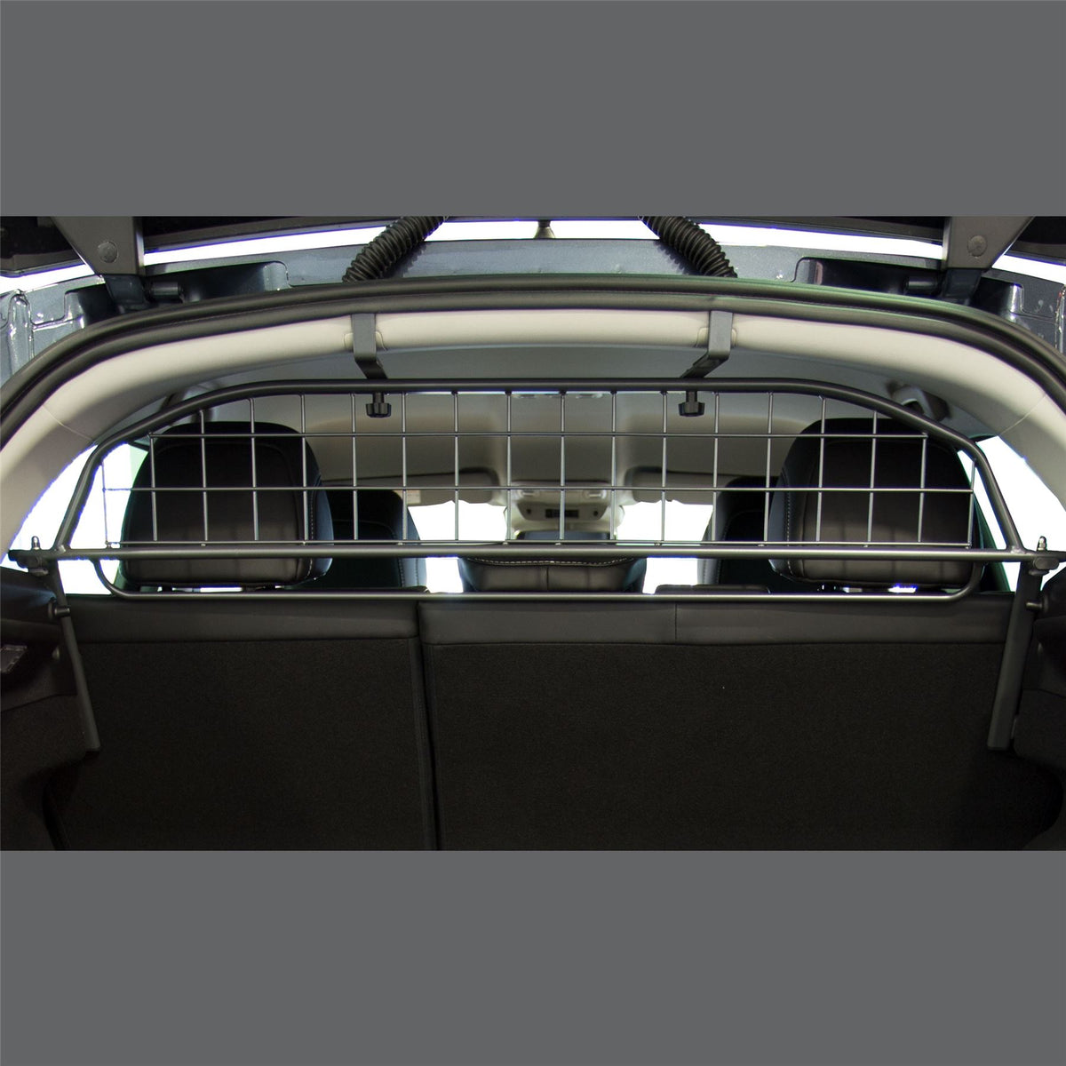 Renault Megane Dog Guard (2016-2020)