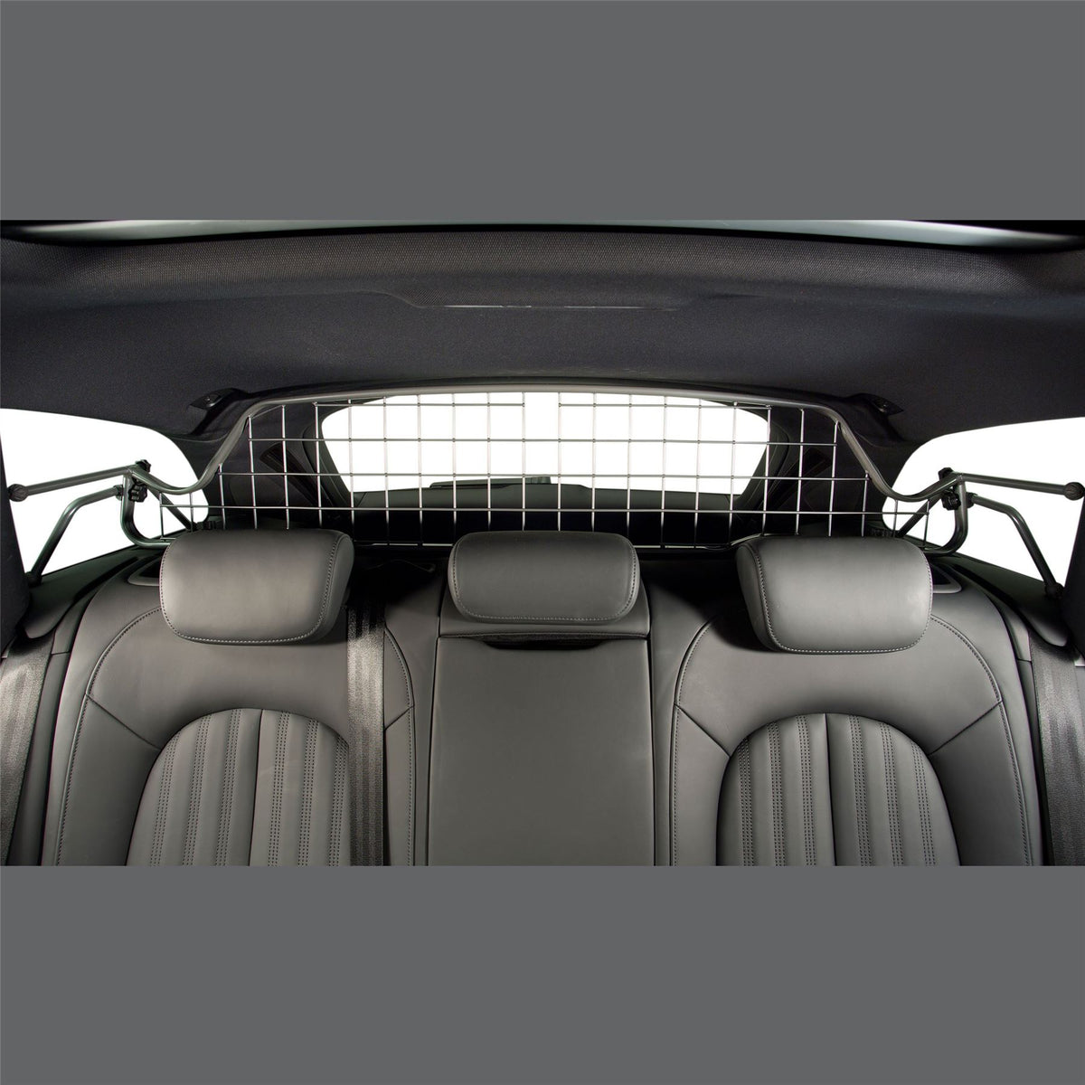 Audi A6 Dog Guard (2011-2015)